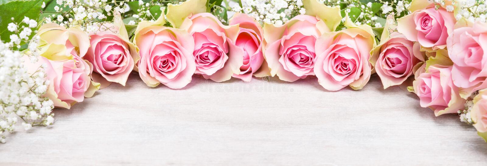 pink-roses-baby-s-breath-banner-greeting-card-66538688.jpg